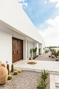 زرع بعض الاشجار مع الحصى وتطعيمه